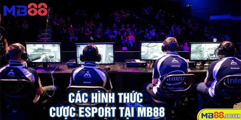 🎮Esport MB88 – Cá Cược Thể Thao Điện Tử Đỉnh Cao 2025! 4 Các Hình Thức Cược Esport Tại MB88