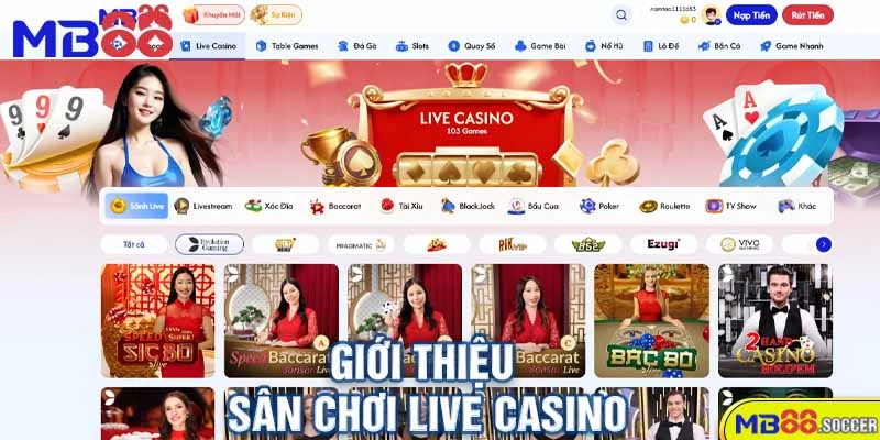 Giới Thiệu Sân Chơi Live Casino