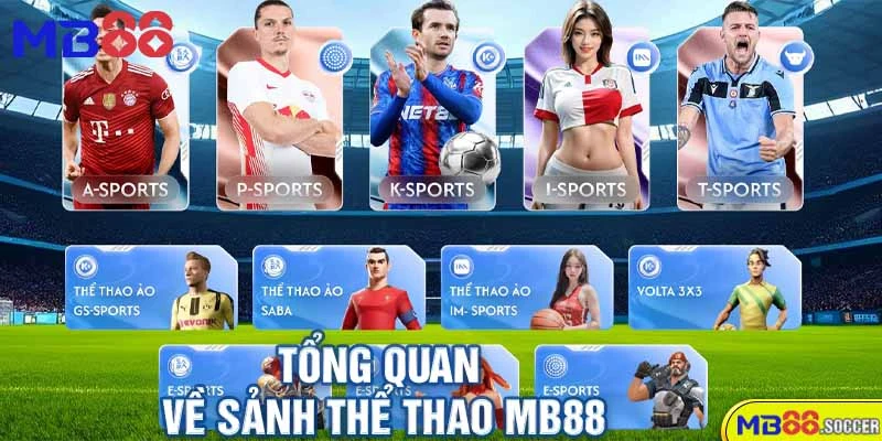 Tổng Quan Về Sảnh Thể Thao MB88