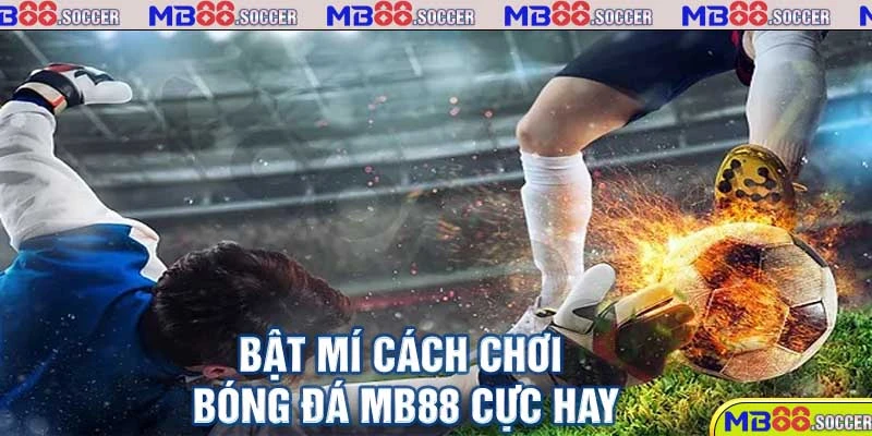 Kèo Bóng Đá MB88 - Các Loại Kèo Và Cách Chơi Đến Từ Cao Thủ 4 Bật mí cách chơi bóng đá MB88 cực hay