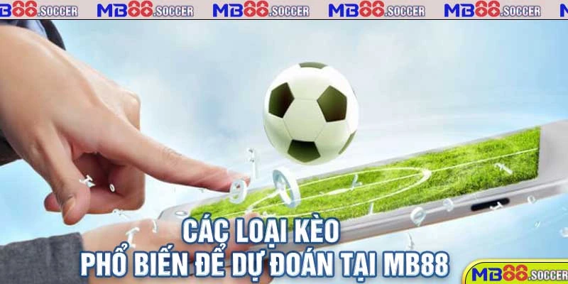 Bật Mí Các Phương Pháp Soi Kèo MB88 Siêu Chuẩn Xác 2 Các loại kèo phổ biến để dự đoán tại MB88