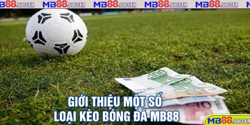 Kèo Bóng Đá MB88 - Các Loại Kèo Và Cách Chơi Đến Từ Cao Thủ 2 Giới thiệu một số loại kèo bóng đá MB88