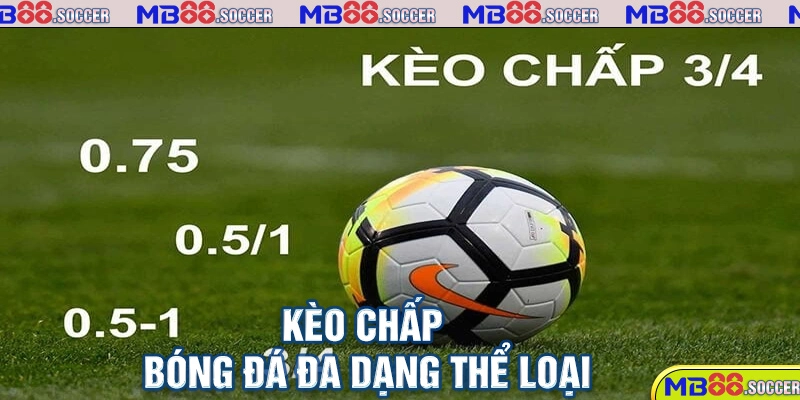 Khám Phá Tỷ Lệ Kèo MB88 Trực Tuyến Hot Nhất Hôm Nay 2 Kèo chấp bóng đá đa dạng thể loại