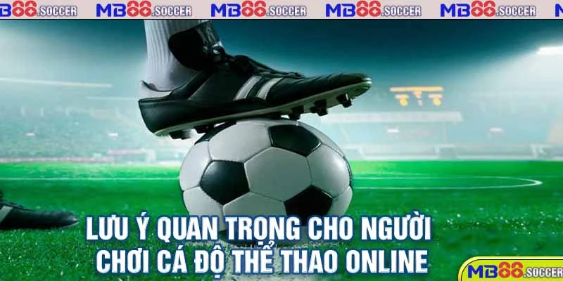 Kèo Nhà Cái MB88 - Kiến Thức Hữu Ích Cho Tất Cả Tân Thủ 5 Lưu ý quan trọng cho người chơi cá độ thể thao online