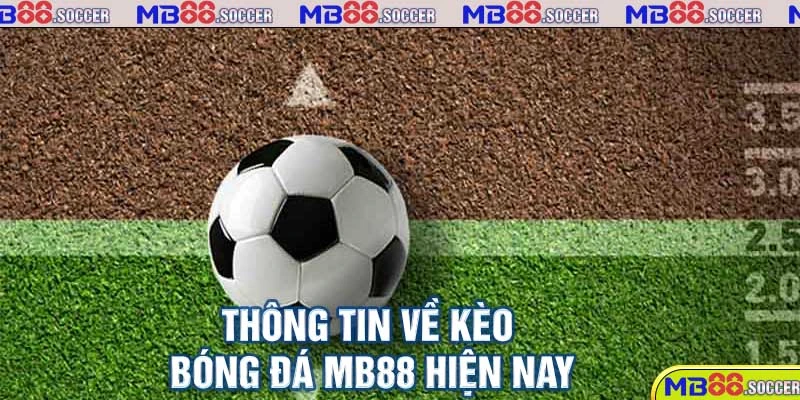 Thông tin về kèo bóng đá MB88 hiện nay 